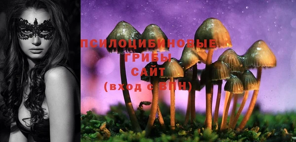 СК Алзамай